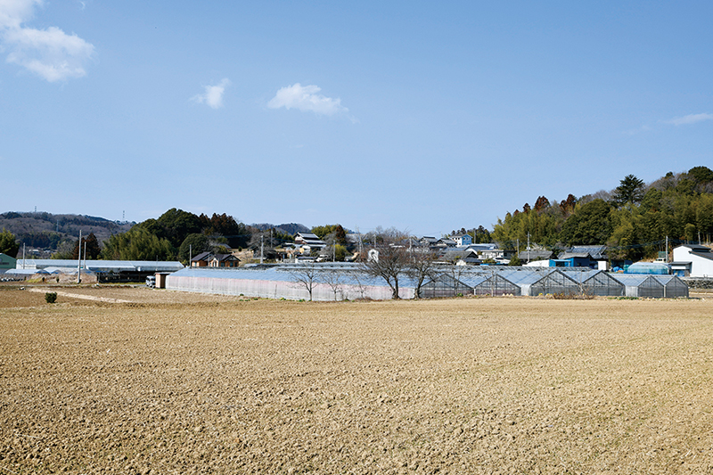有限会社栗原農園 有限会社栗原農園